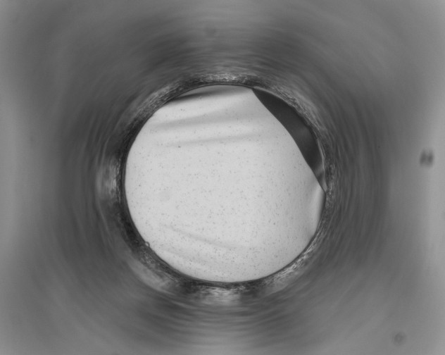 X0000096430166200802211155