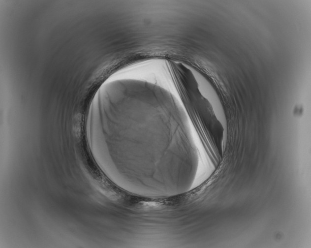 X0000096430167200802211155