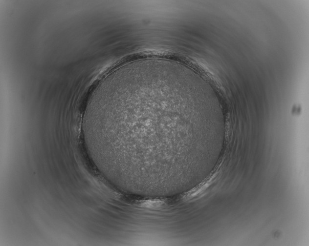 X0000096430168200802211155
