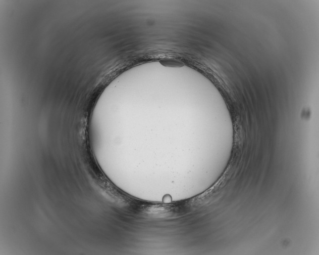 X0000096430171200802211155