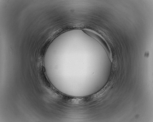 X0000096430172200802211155