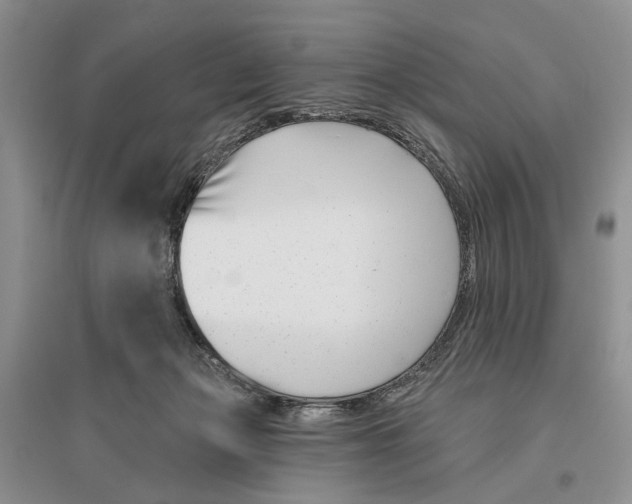 X0000096430173200802211155