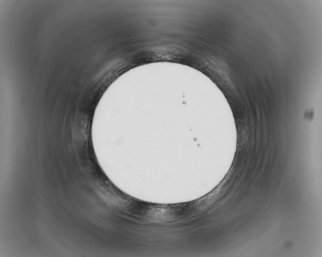 X0000096430174200802211155
