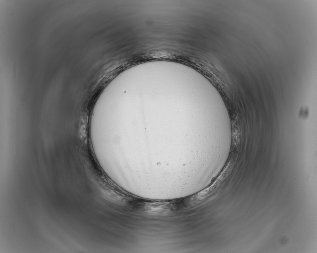 X0000096430175200802211155