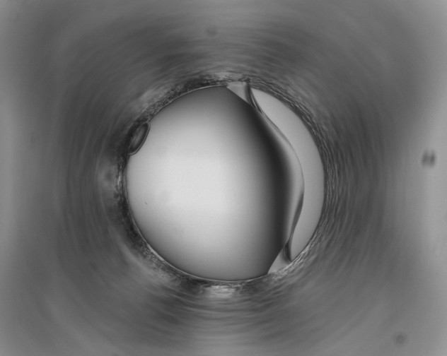 X0000096430176200802211155