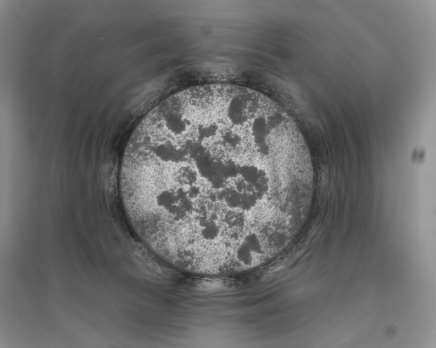 X0000096430177200802211155