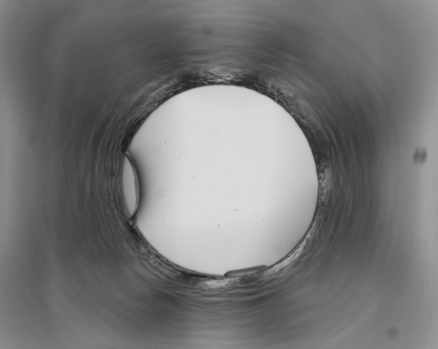 X0000096430178200802211155