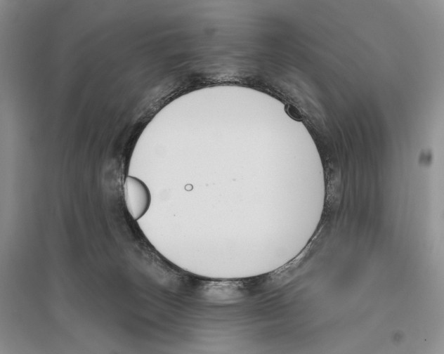 X0000096430179200802211155