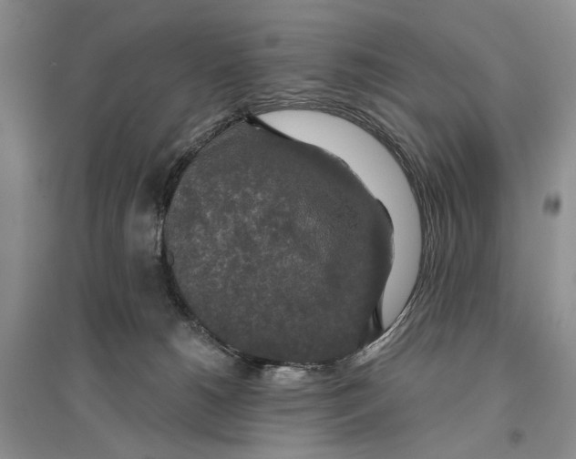 X0000096430180200802211155