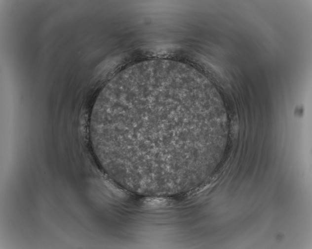 X0000096430181200802211155