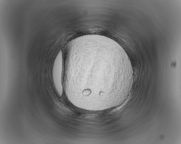 X0000096430182200802211155