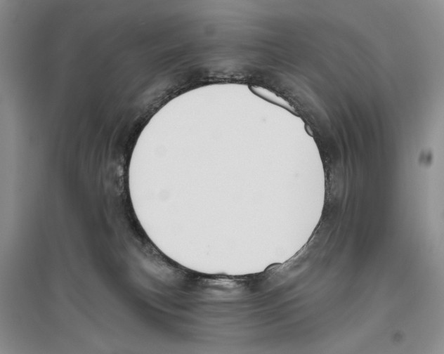 X0000096430183200802211155