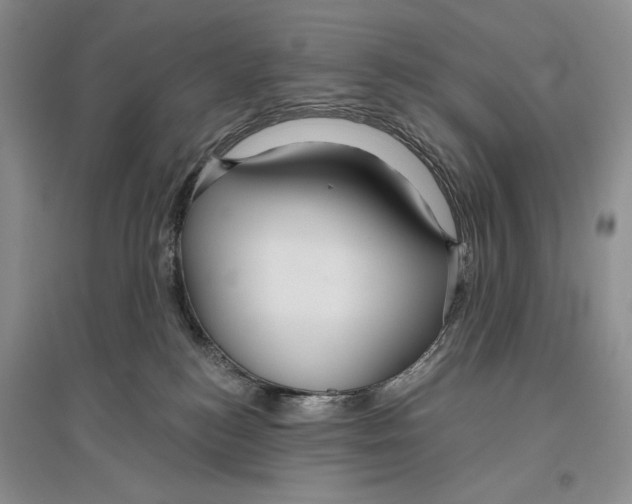 X0000096430184200802211155