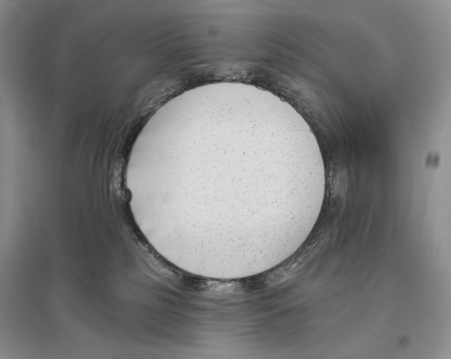X0000096430185200802211155