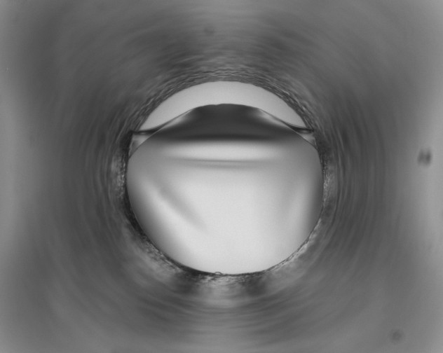 X0000096430186200802211155