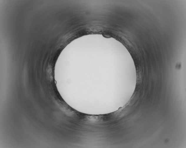 X0000096430187200802211155