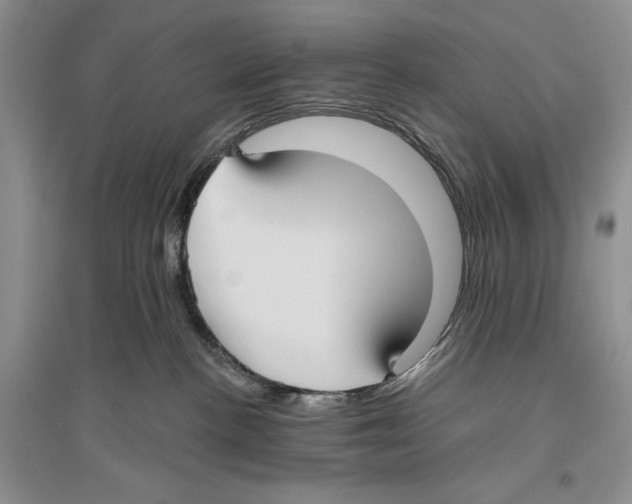 X0000096430188200802211155