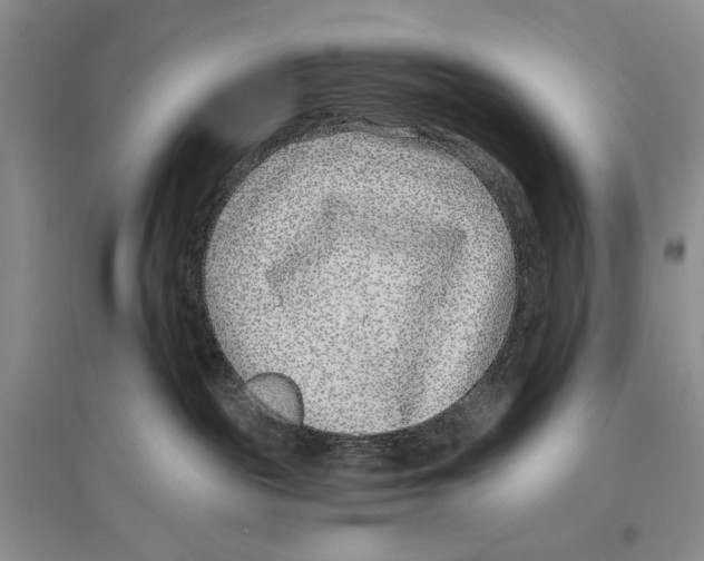 X0000096430189200802211155