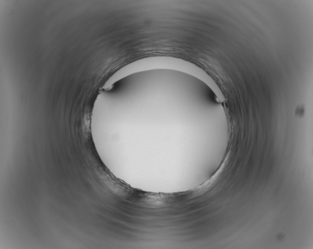 X0000096430190200802211156