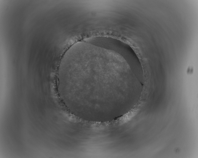 X0000096430192200802211156