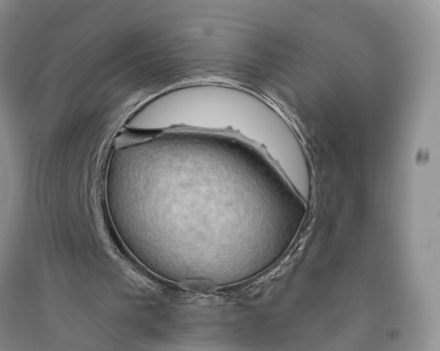 X0000096430193200802211155