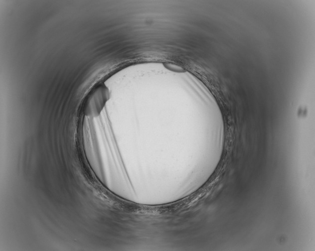 X0000096430194200802211155