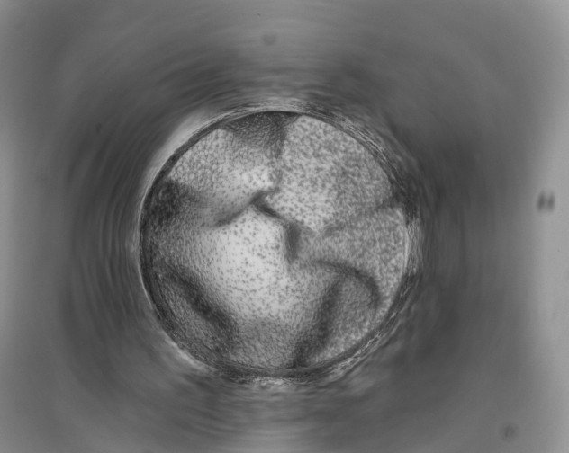 X0000096430195200802211155