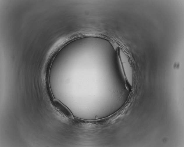 X0000096430197200802211155