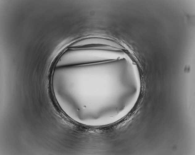 X0000096430199200802211155