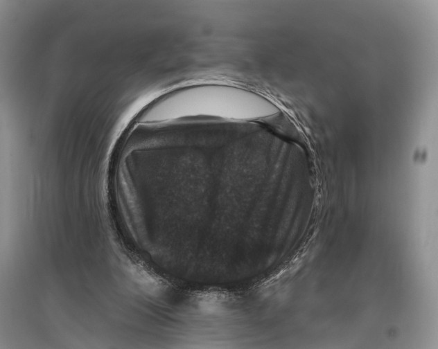X0000096430200200802211155
