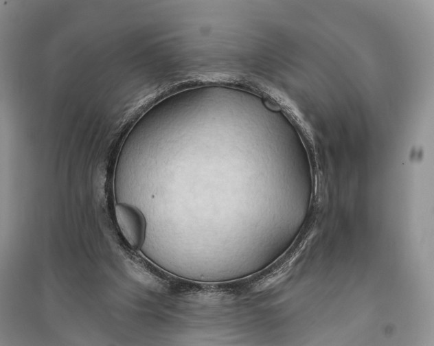 X0000096430201200802211155