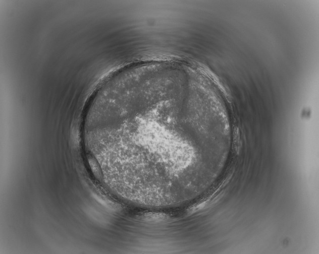 X0000096430203200802211155
