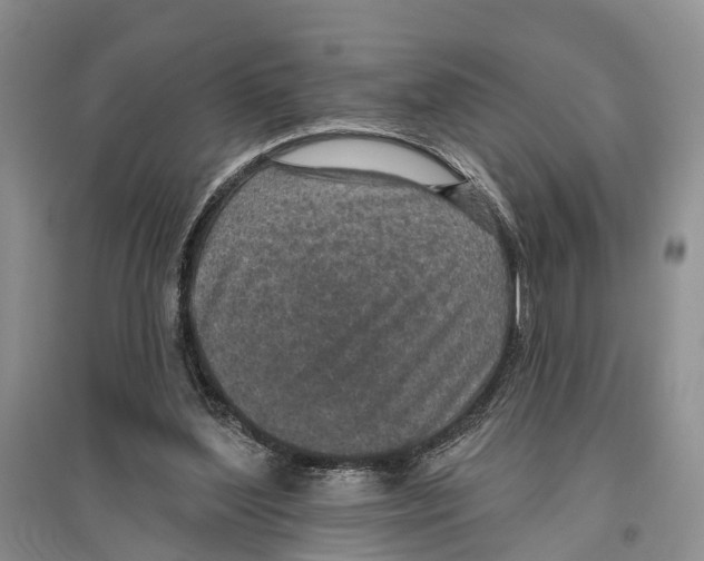 X0000096430204200802211155