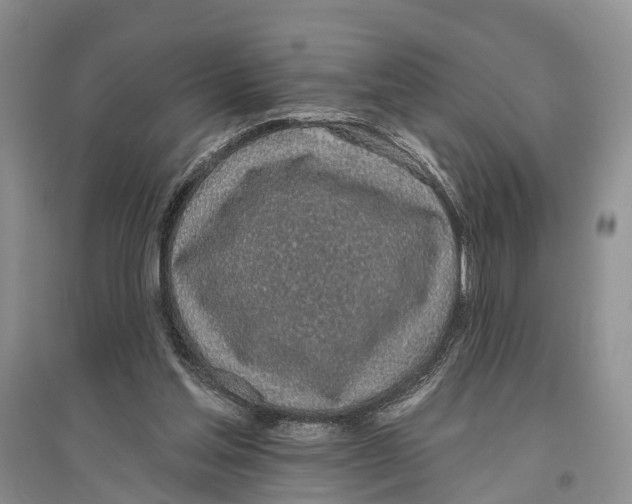 X0000096430205200802211155