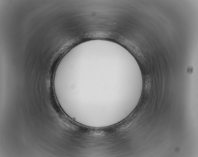 X0000096430206200802211155