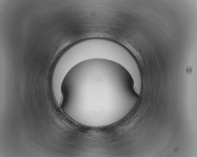 X0000096430207200802211155