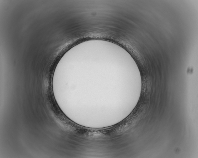 X0000096430208200802211155