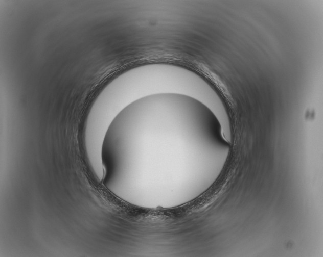 X0000096430209200802211155
