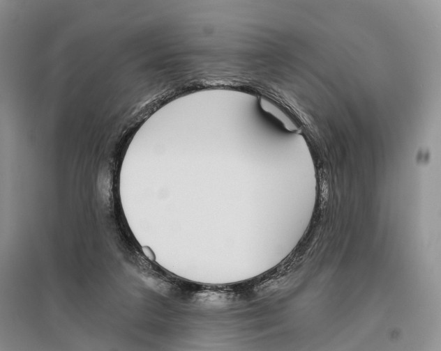 X0000096430211200802211155