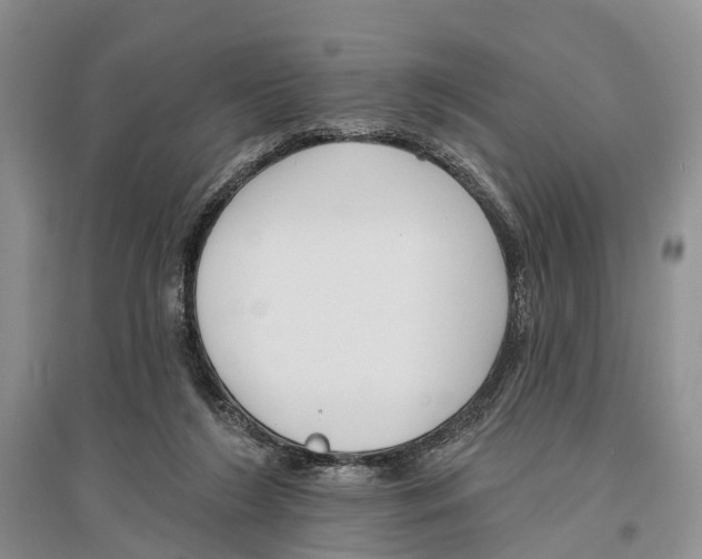 X0000096430212200802211155