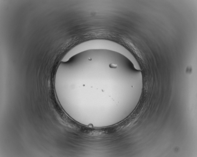 X0000096430213200802211155