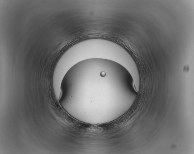 X0000096430215200802211154