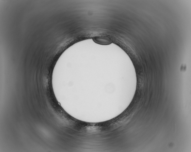 X0000096430216200802211154