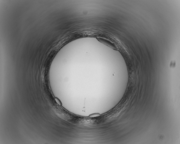 X0000096430217200802211154
