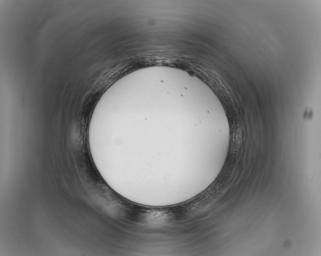 X0000096430218200802211154