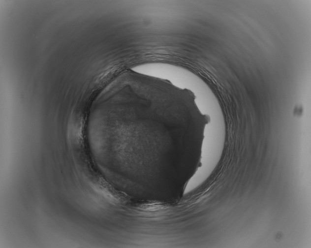 X0000096430219200802211154