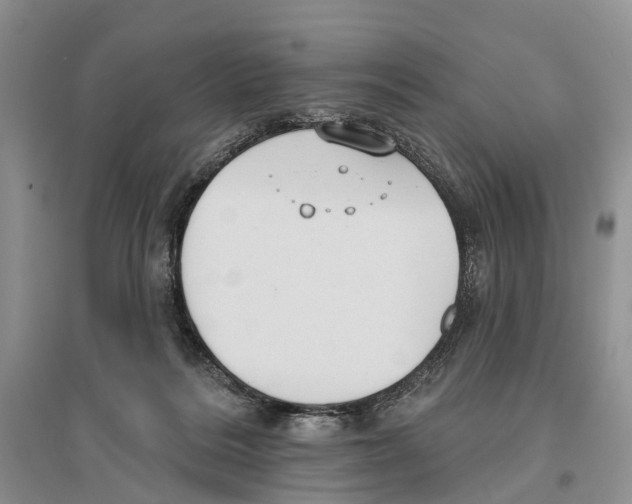 X0000096430220200802211154