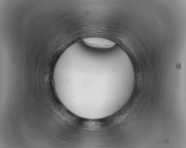 X0000096430221200802211154