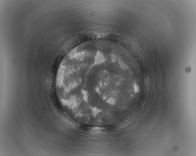 X0000096430222200802211154