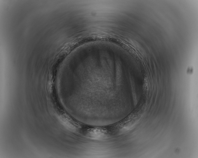 X0000096430223200802211154